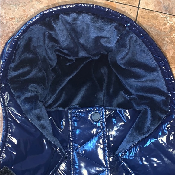 Hollister Wet-Look Puffer Jacket - Picture 3 of 5